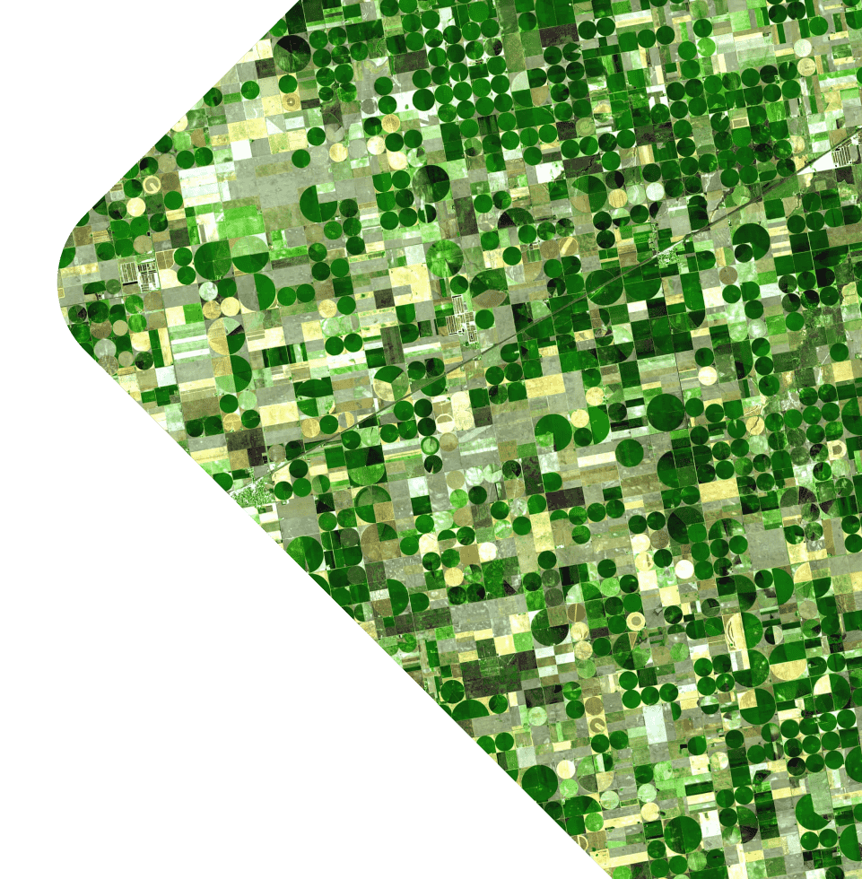 Aerial view of fields of crops